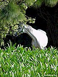 Valle de Bravo, M�xico