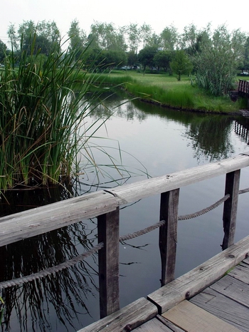Parque Ecol�gico Xochimilco, M�xico DF (foto: Paco Calder�n)